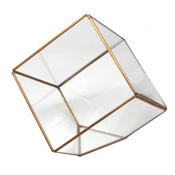 Gold Geometric Glass Terrarium Display Box, Tilted Cube, 6-Inch | Rental